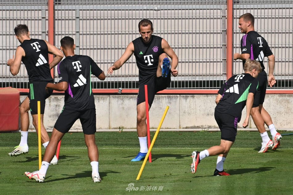 金靴竞争模 金靴竞争模